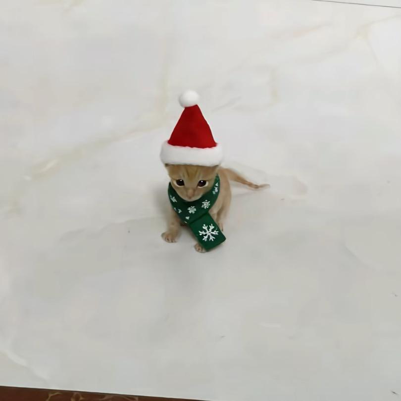 小猫放P导致全球变暖