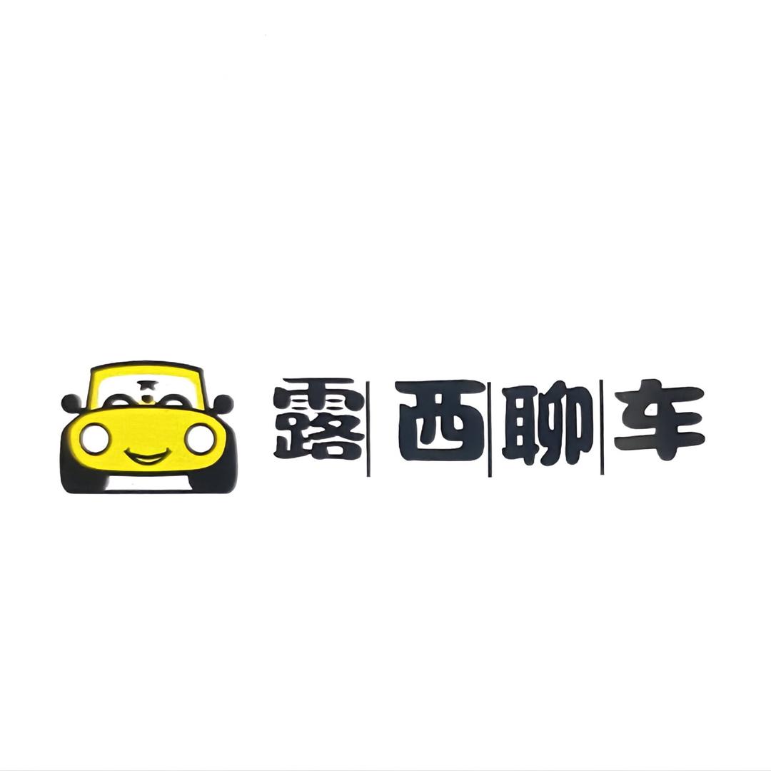 露西聊车