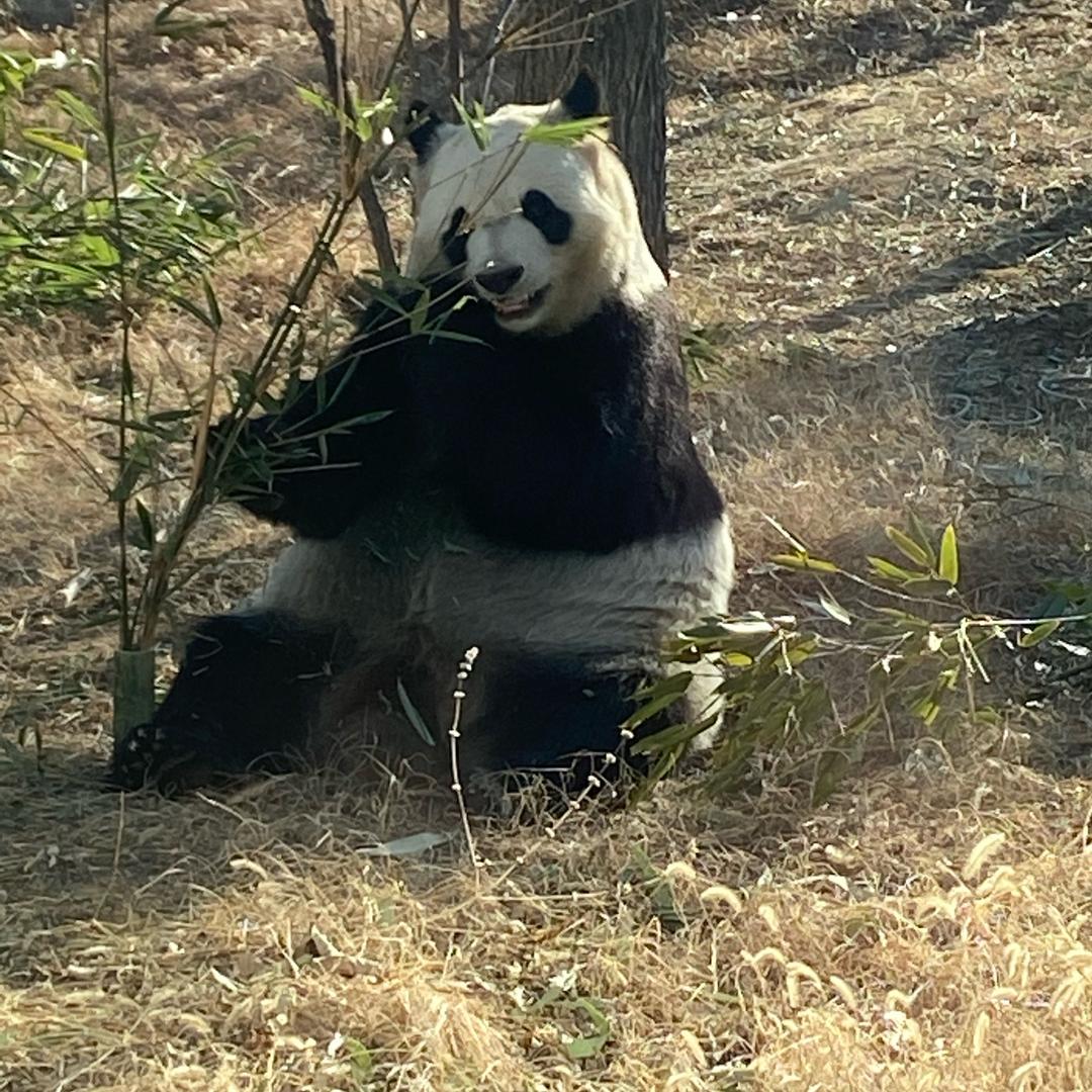 想想123