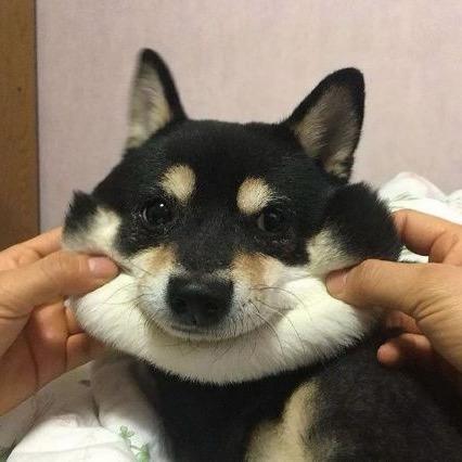 前一上