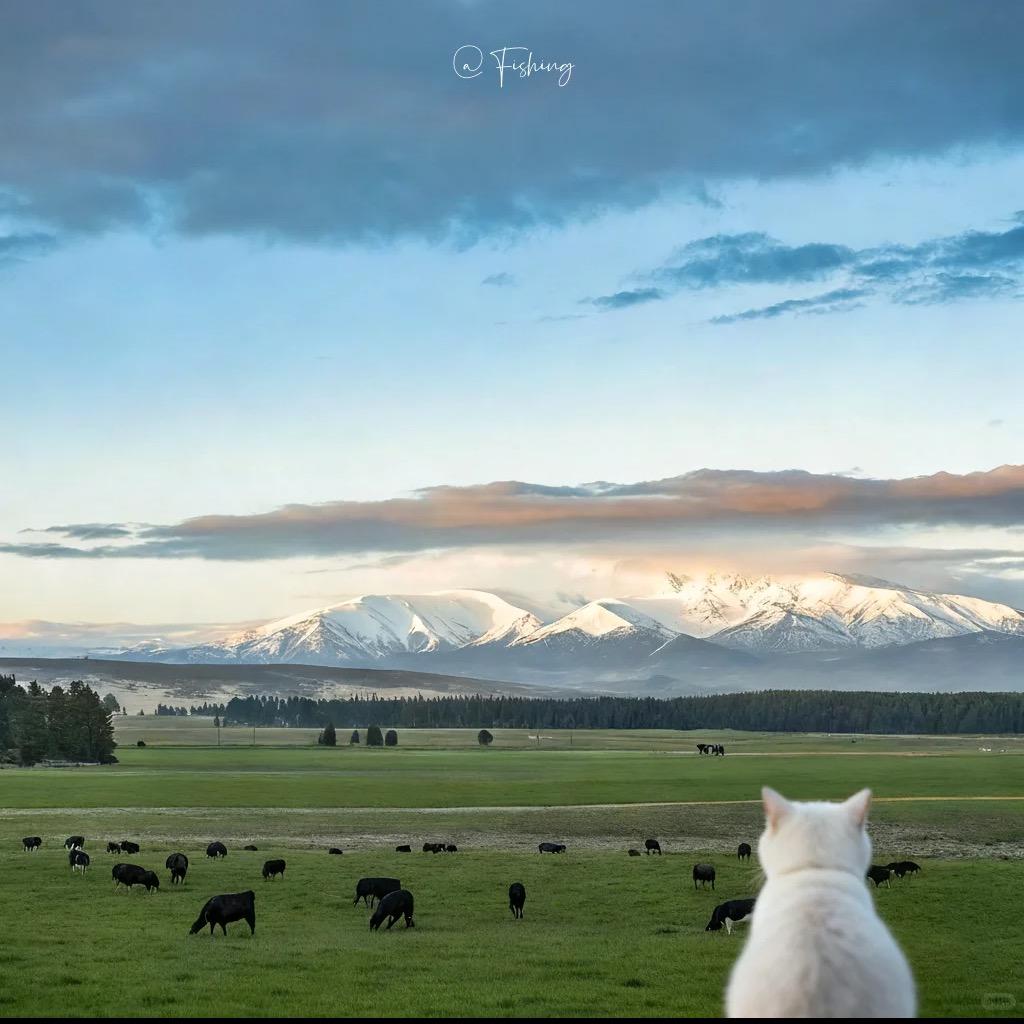 博涵的田间日记