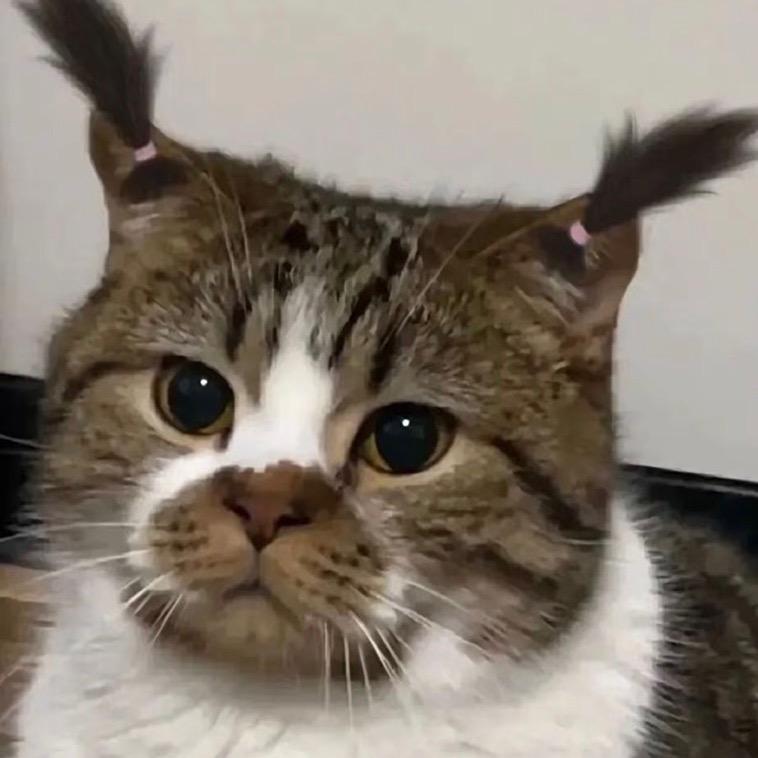 奶味雅