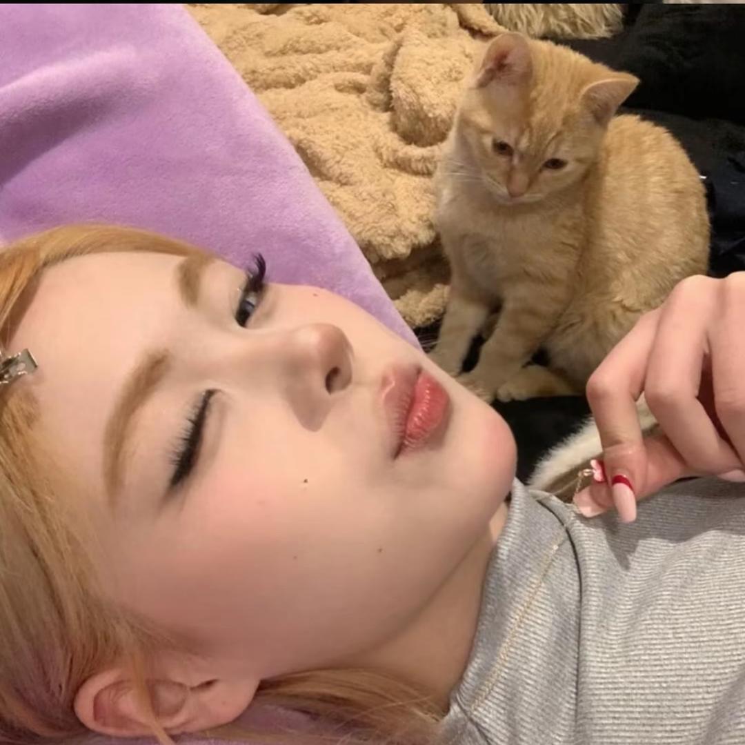 小呆*