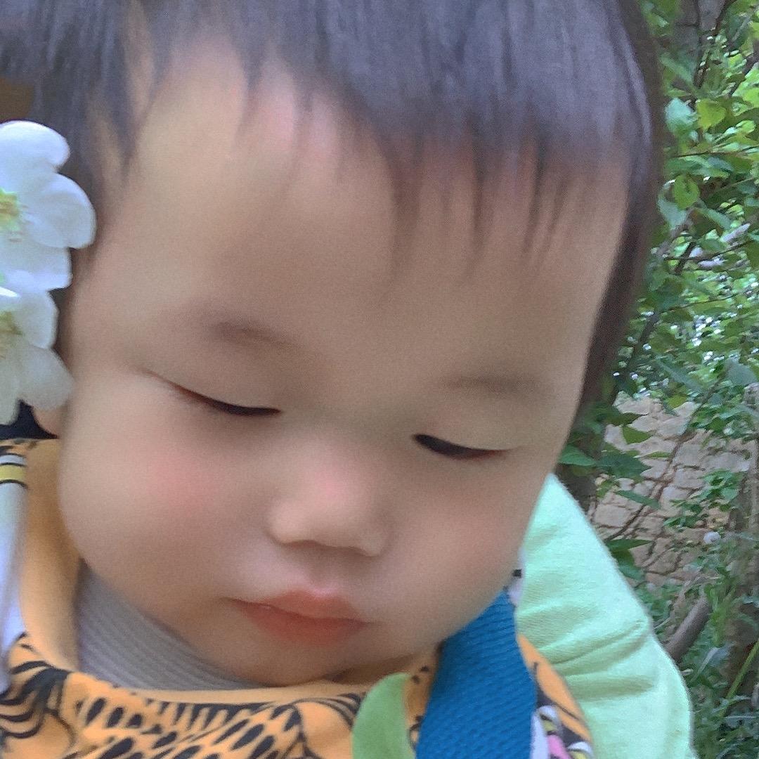 🚲一只小可爱*