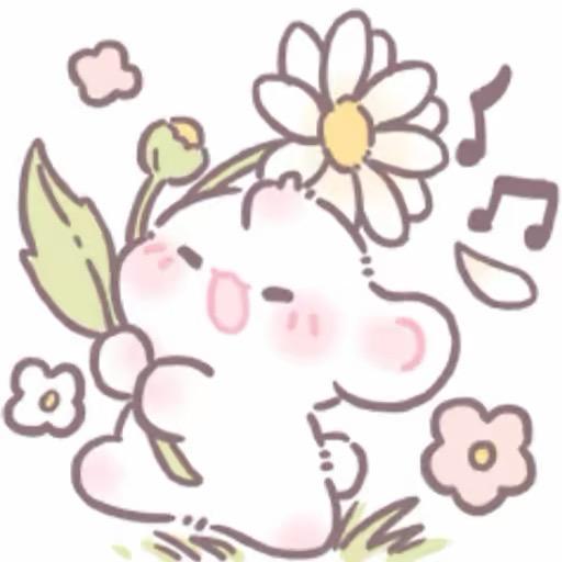 小兔🐰