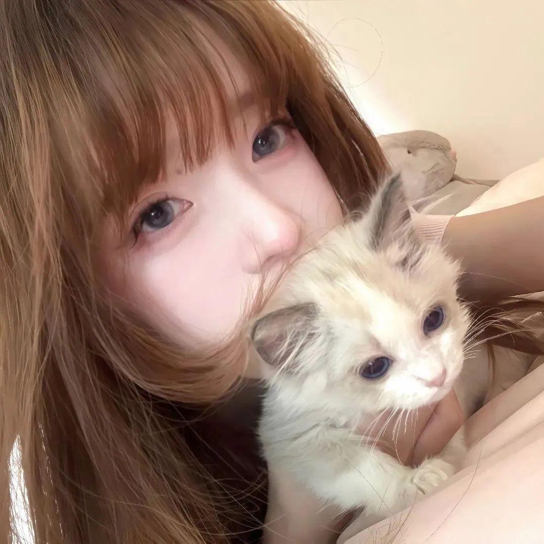 7仔猫猫