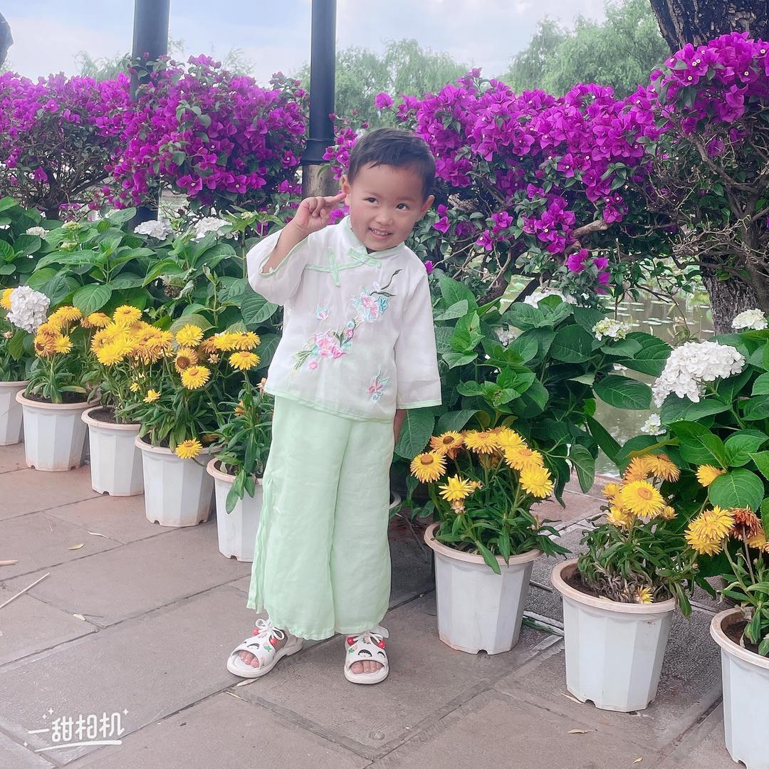 🌸独宠🍁
