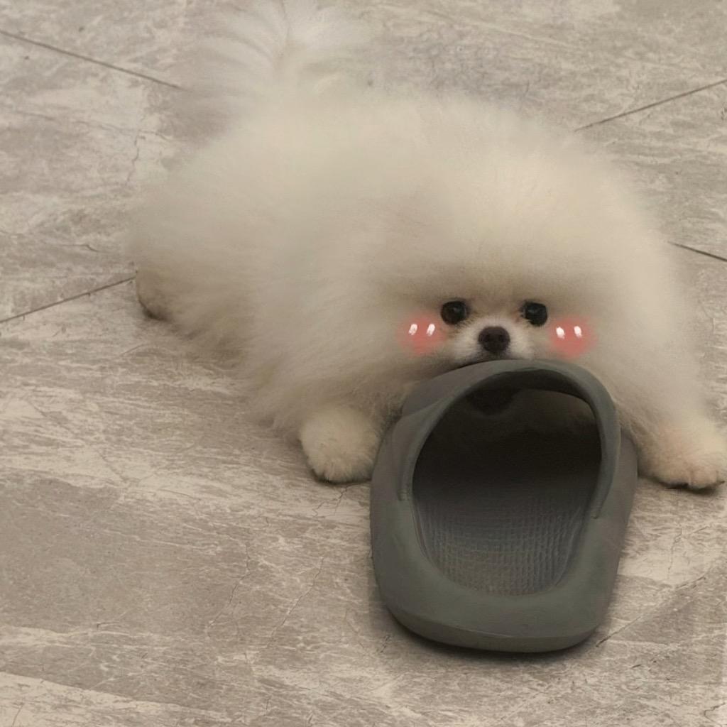 小槑