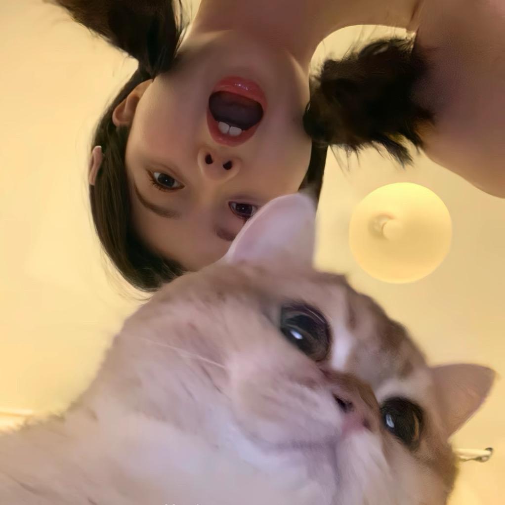 · 小猫 ^