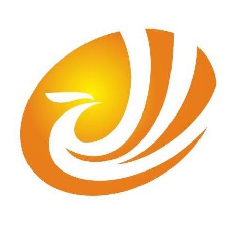 广东新视角教育