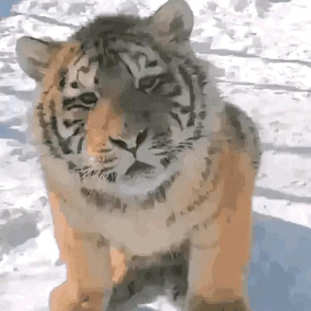 憨憨188