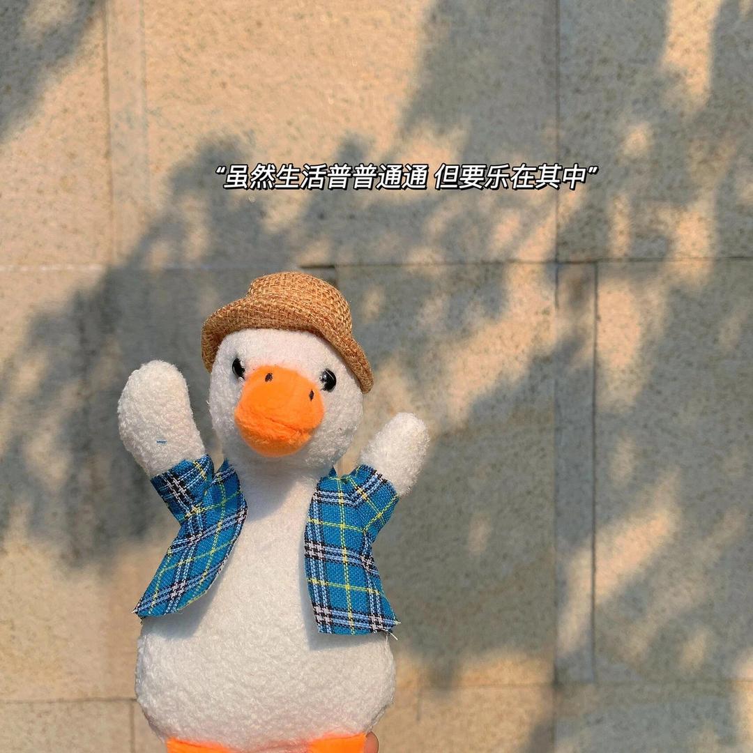 Mi🌸吖⁵¹¹⚑