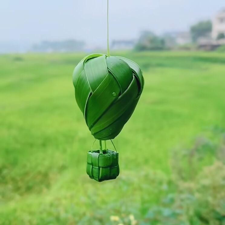 一品白衫