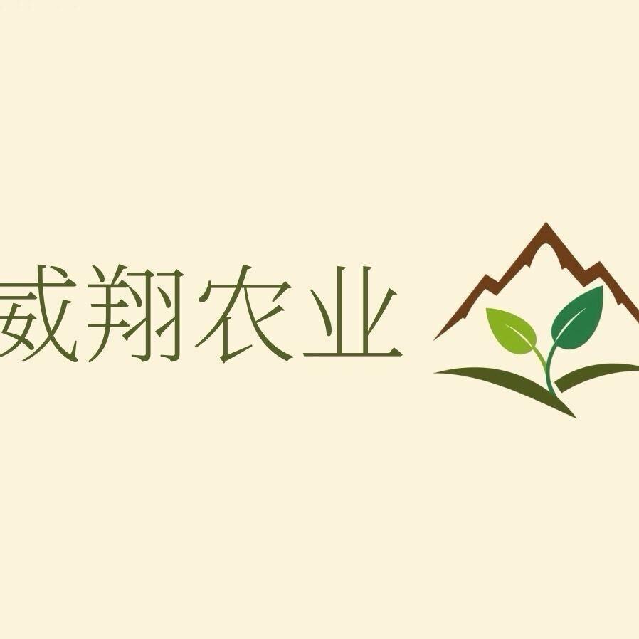 久久