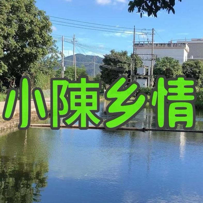 小陈乡情