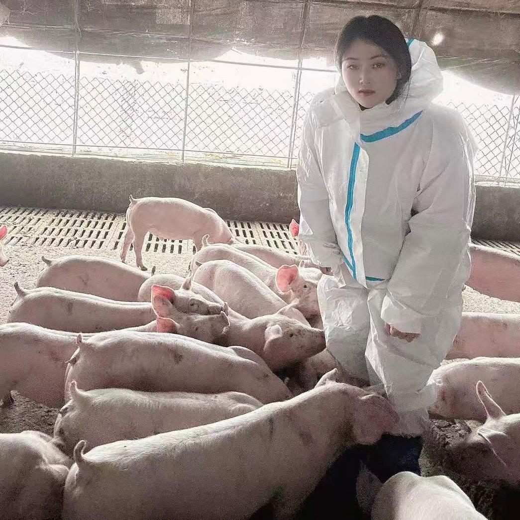@婷婷养殖