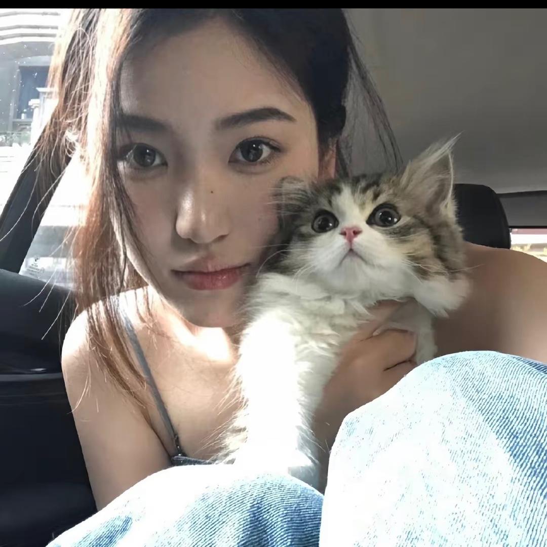 小猪困困