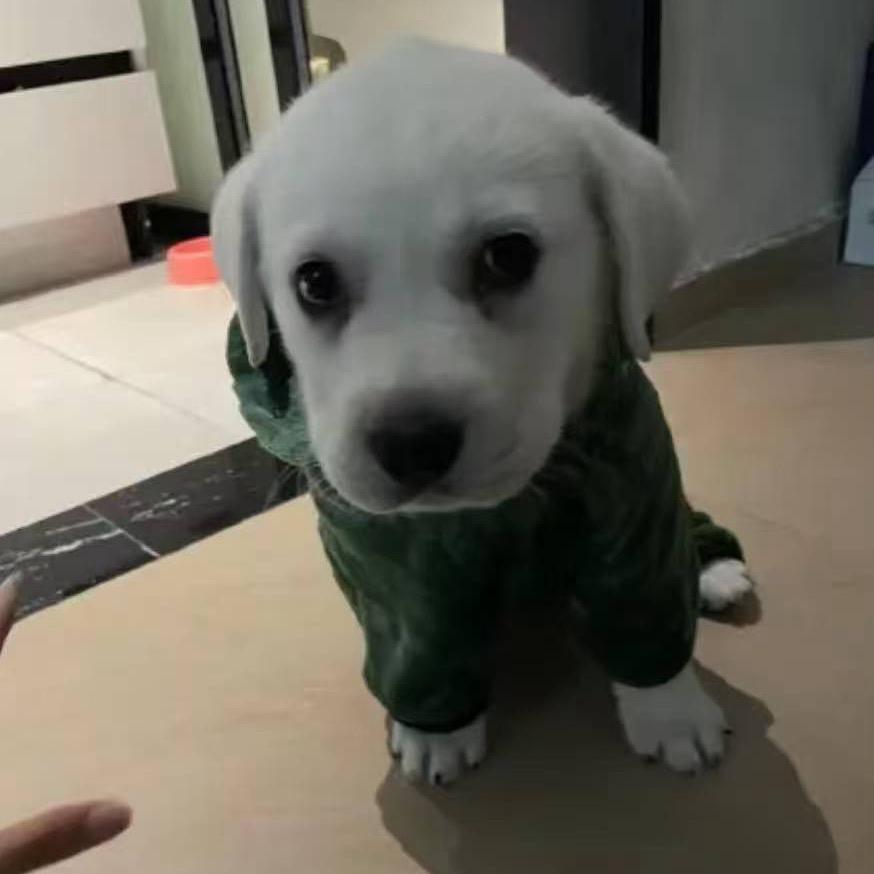 花生汤