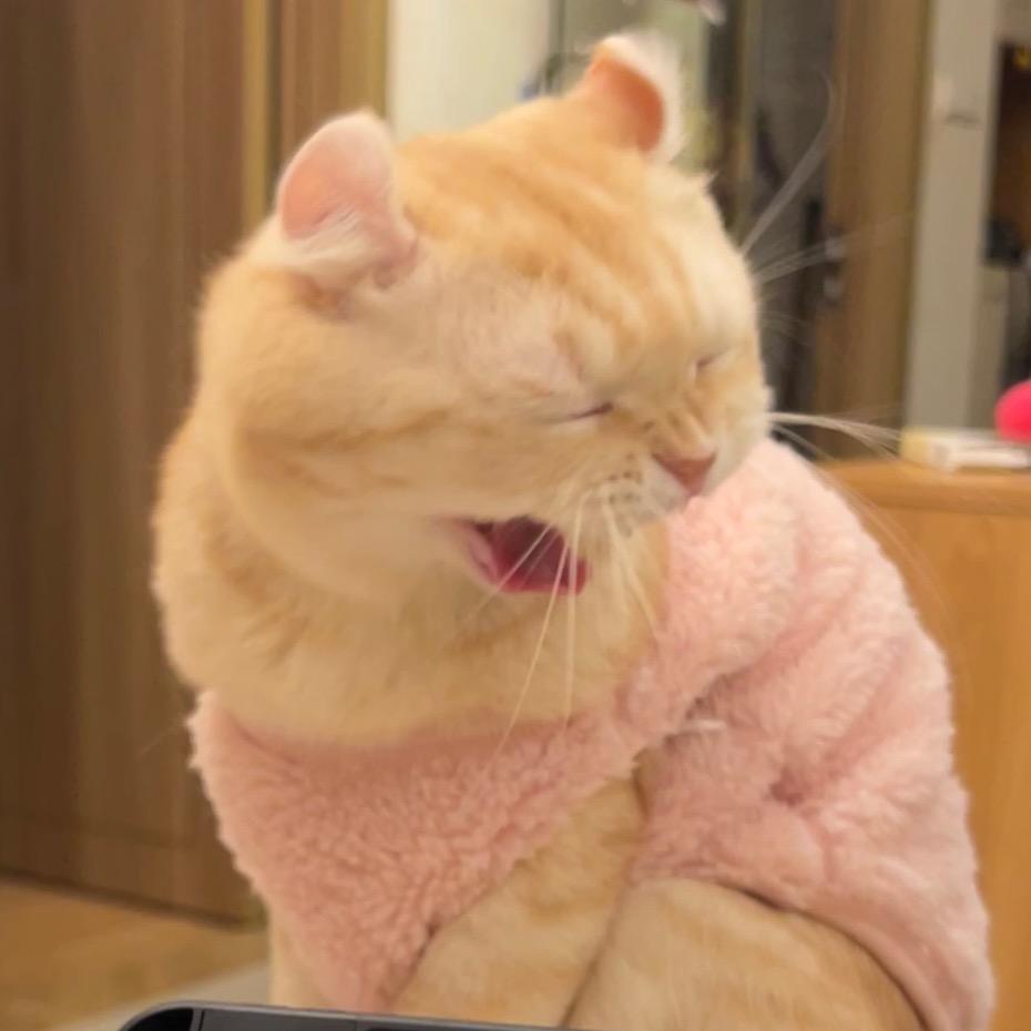 里里里里里里奥