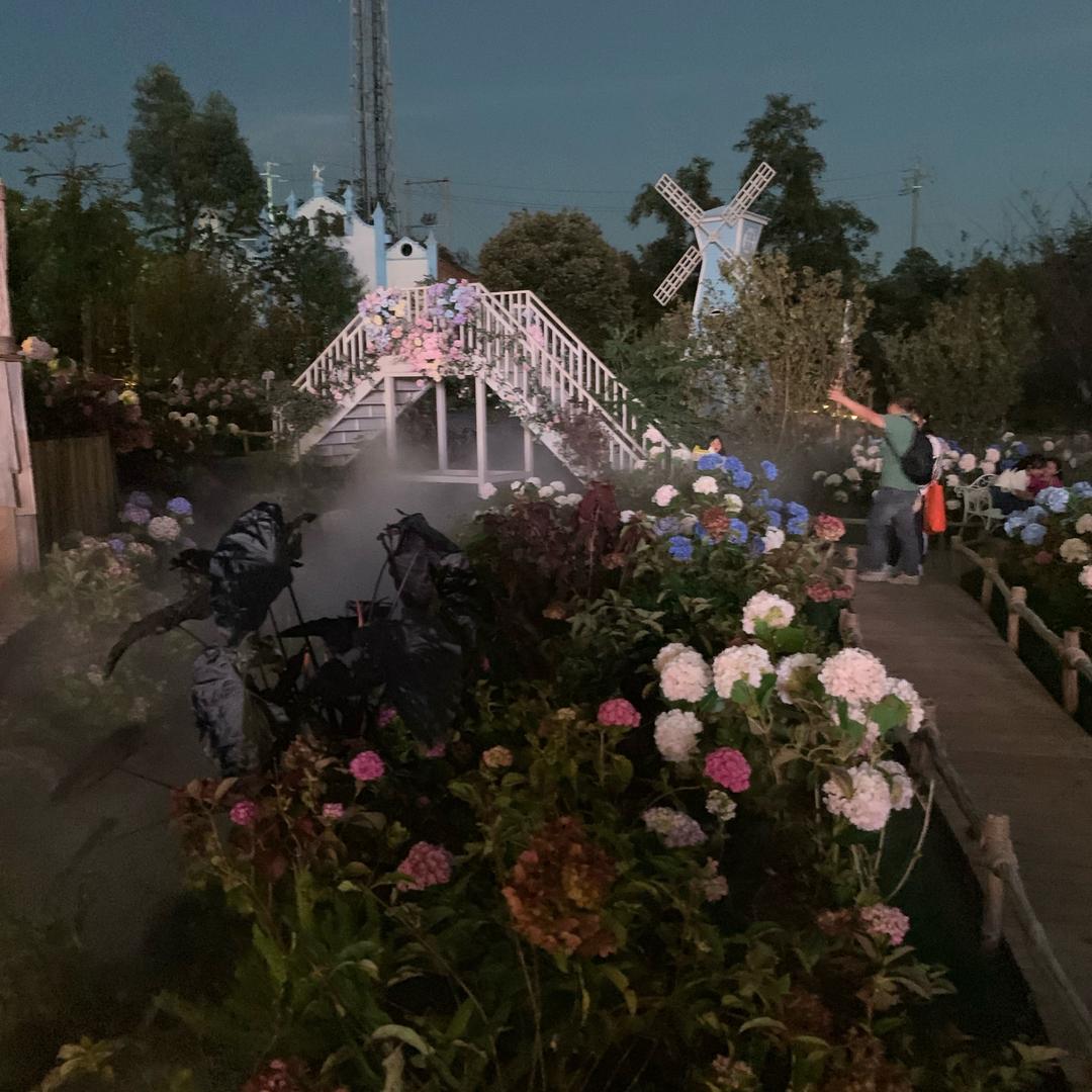 天若有情天亦老