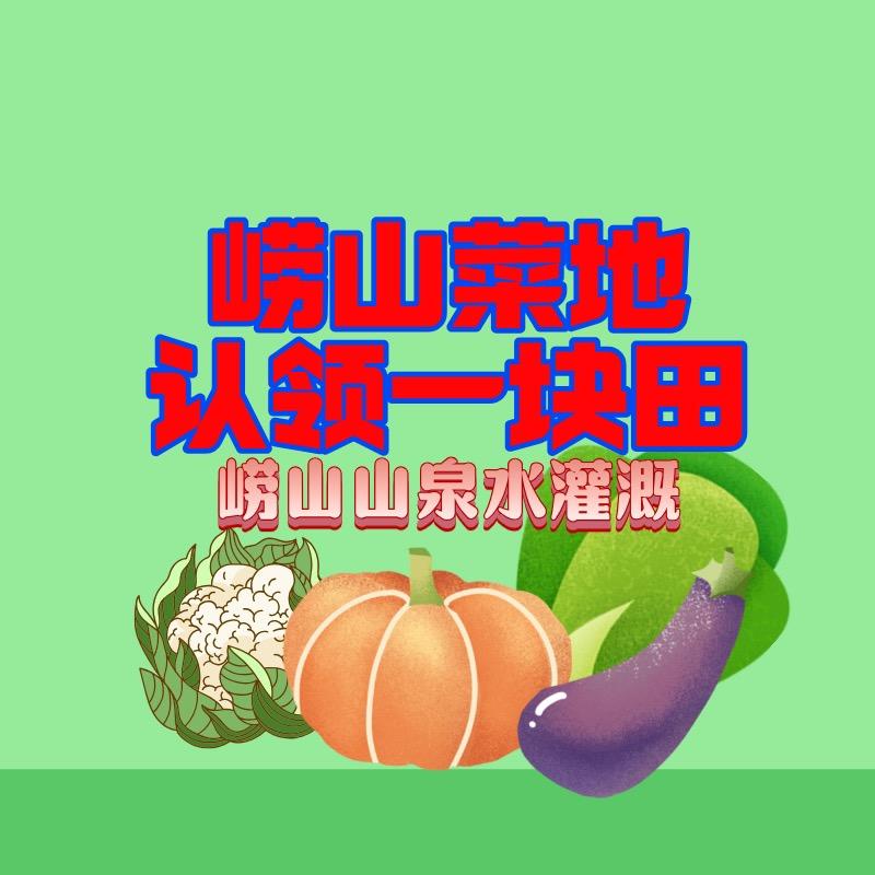 国农·菜园认领