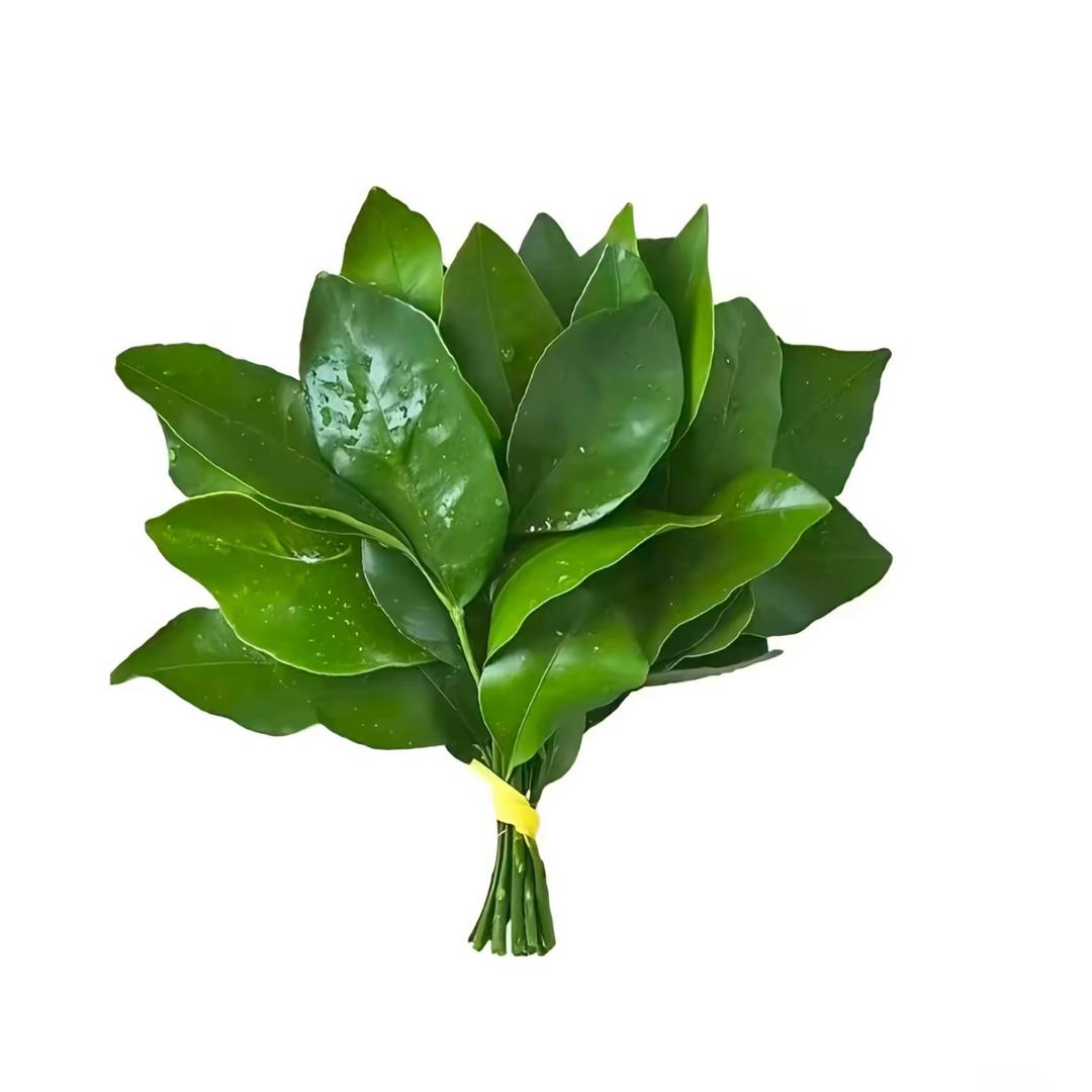 啵᳐啵大王᳐੭ﾞ