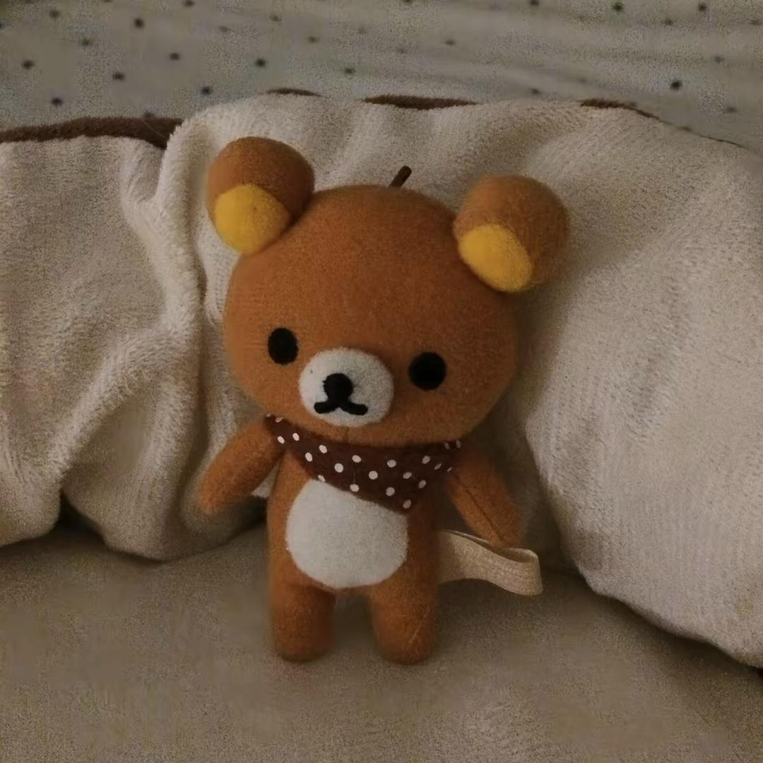 刷到猫咪请艾特我