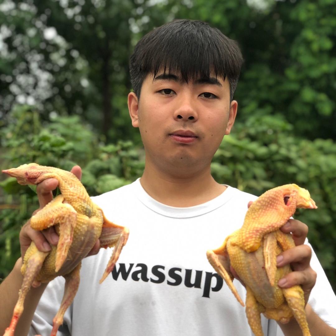飞翔鸽（阿政家）