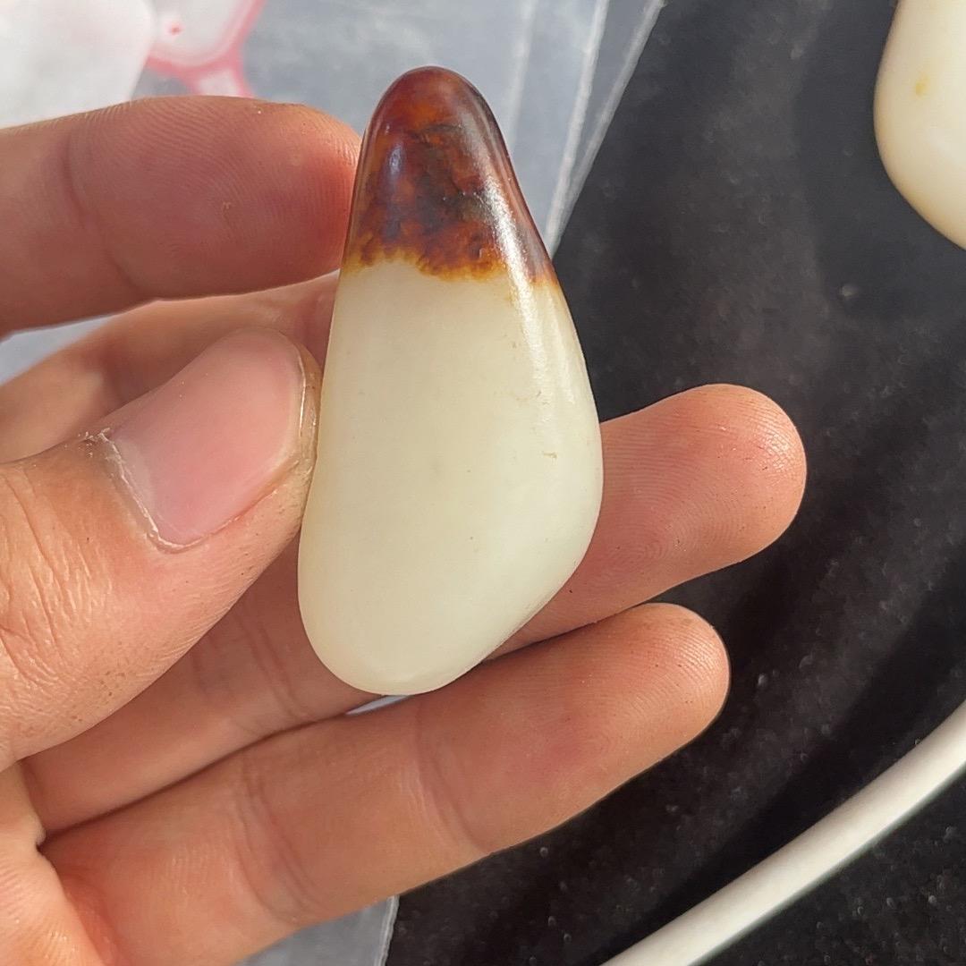 籽弹