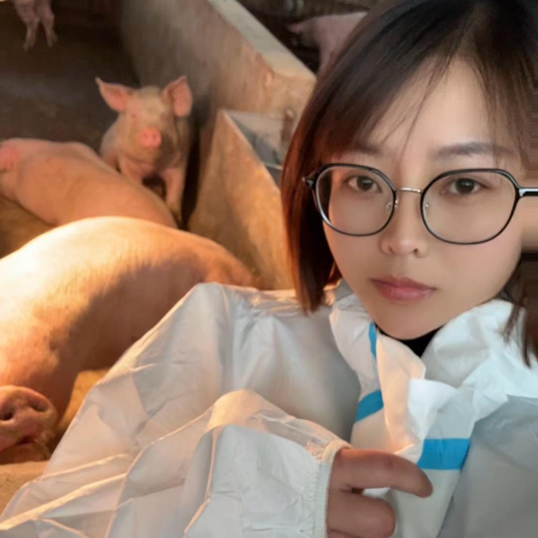 养猪的仙女（二师兄的专业饲养员）
