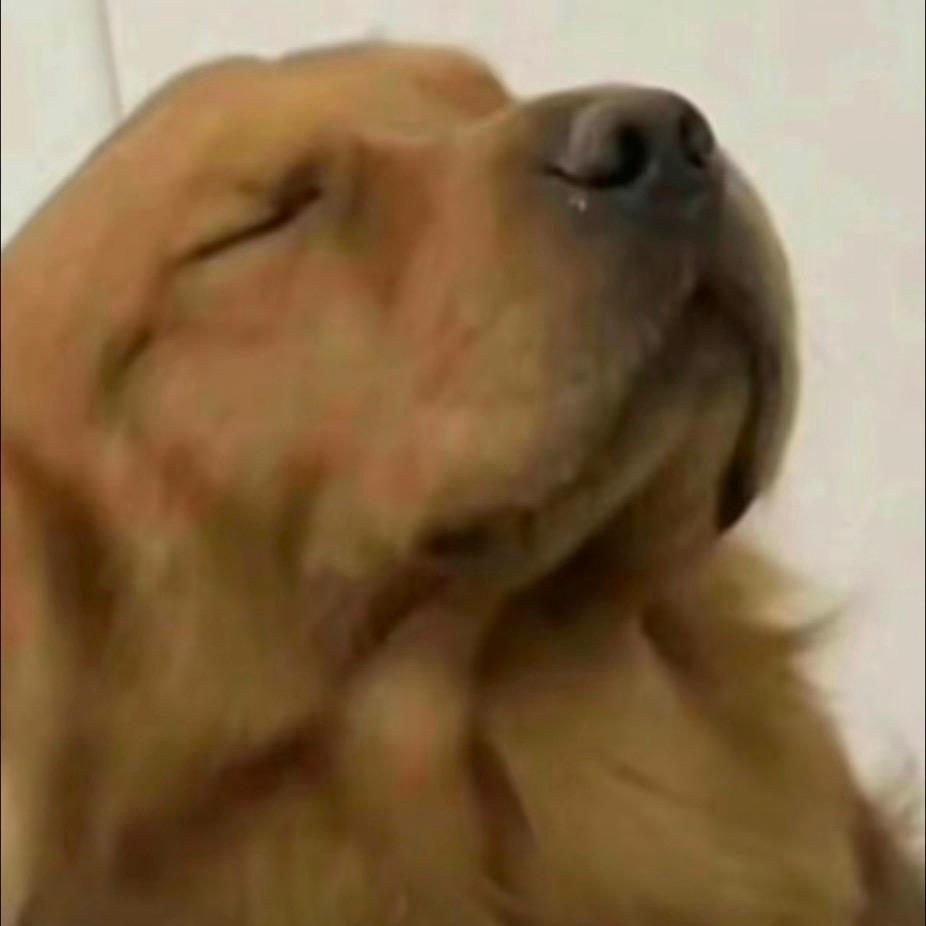 枫