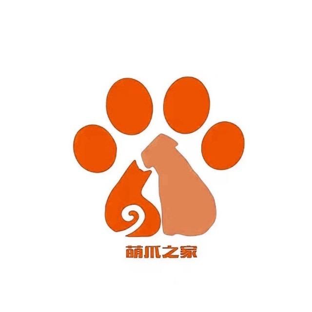济南萌爪之家领养计划