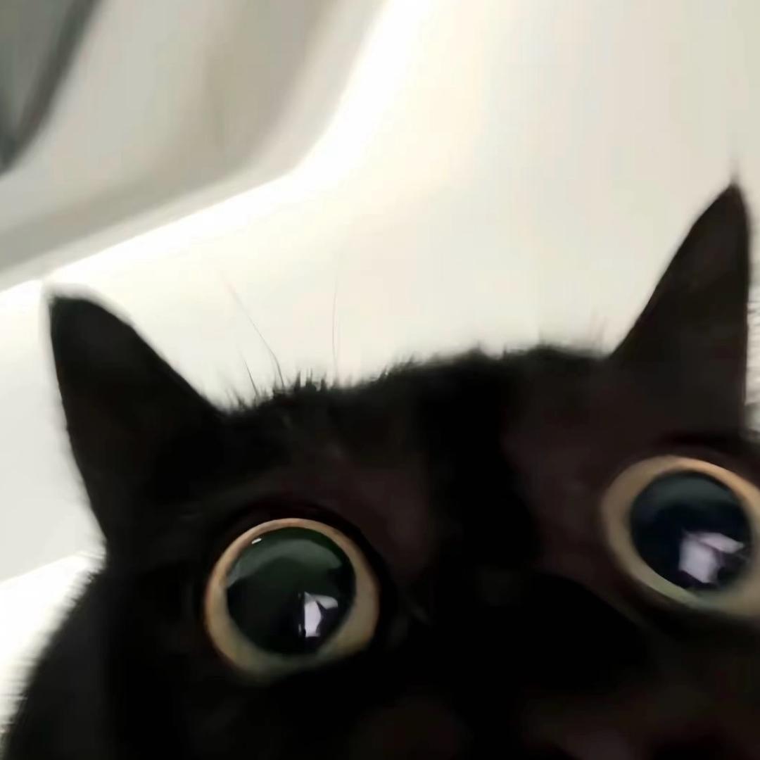 小小白可乐教练