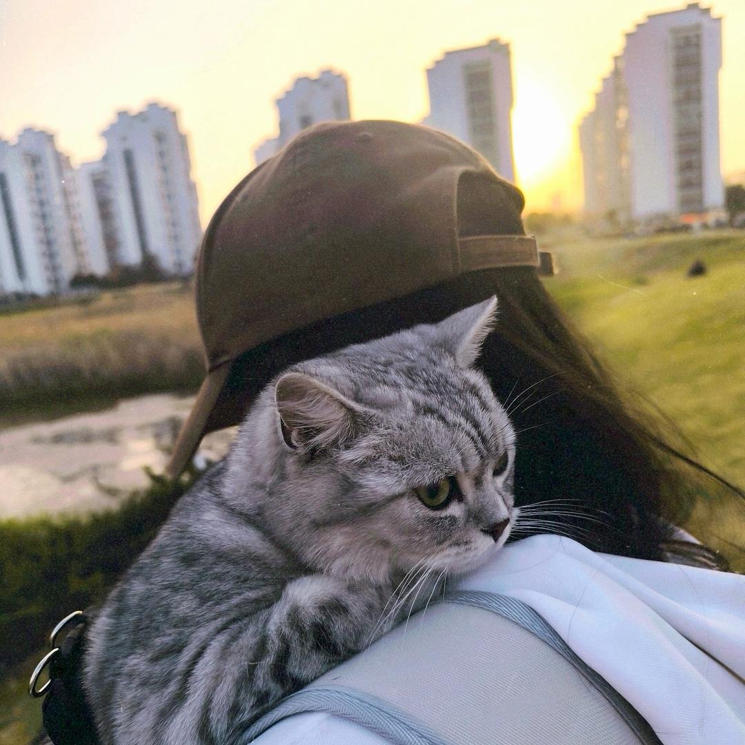 帆凡反饭ᴸˣᵉ