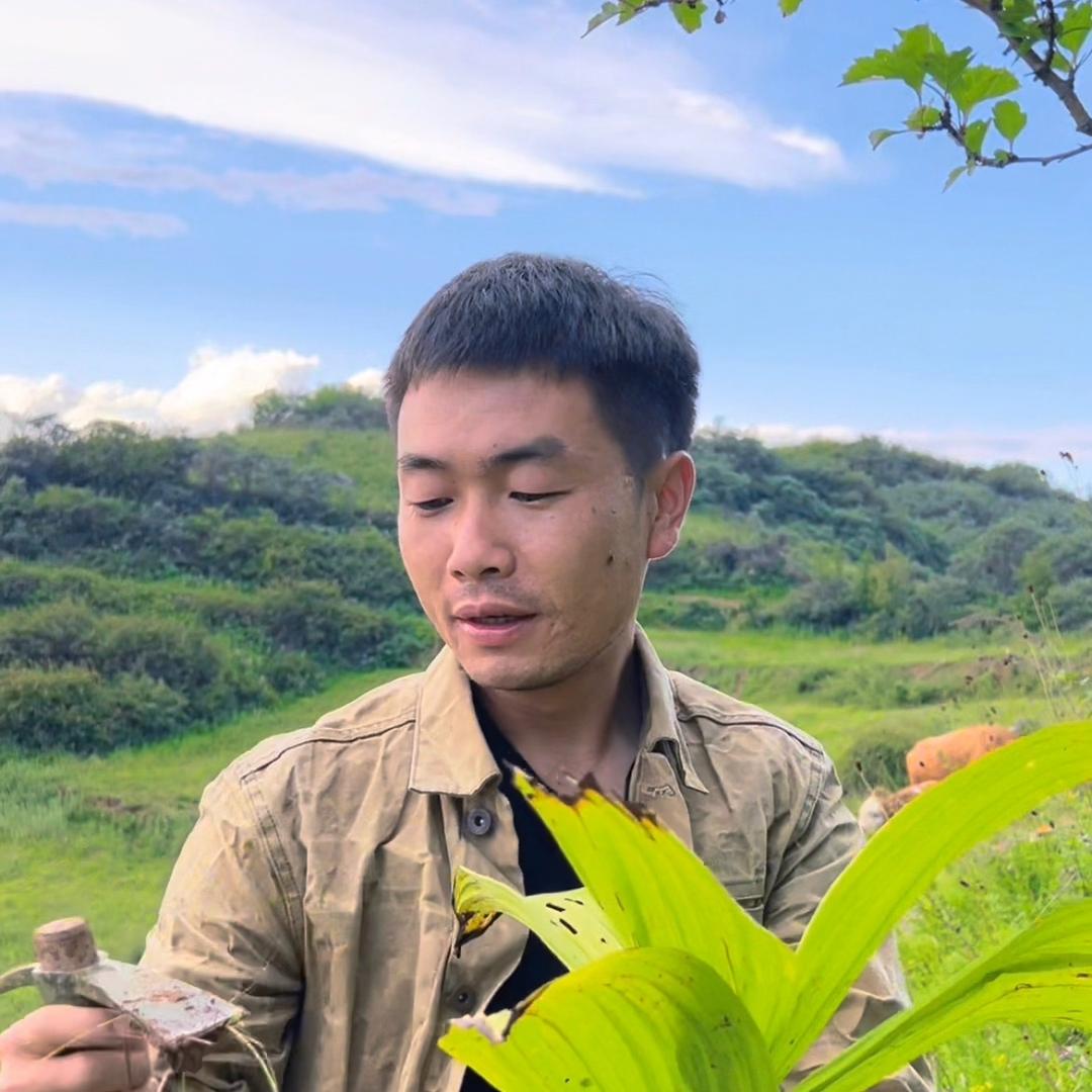 西北本草小马哥
