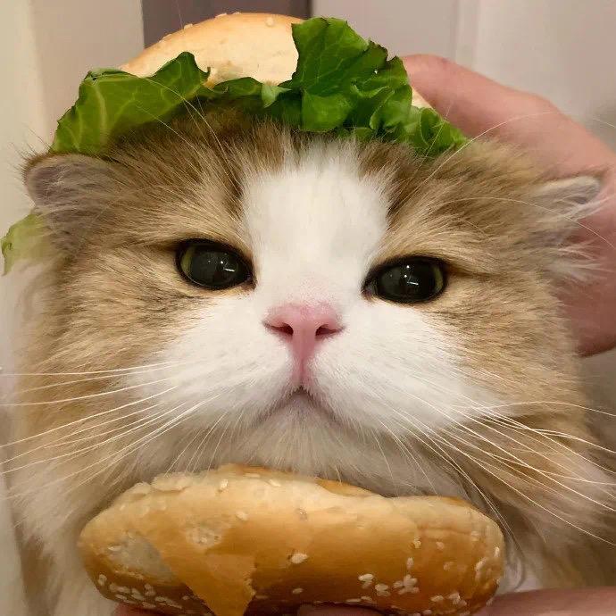 想吃瘦肉丸