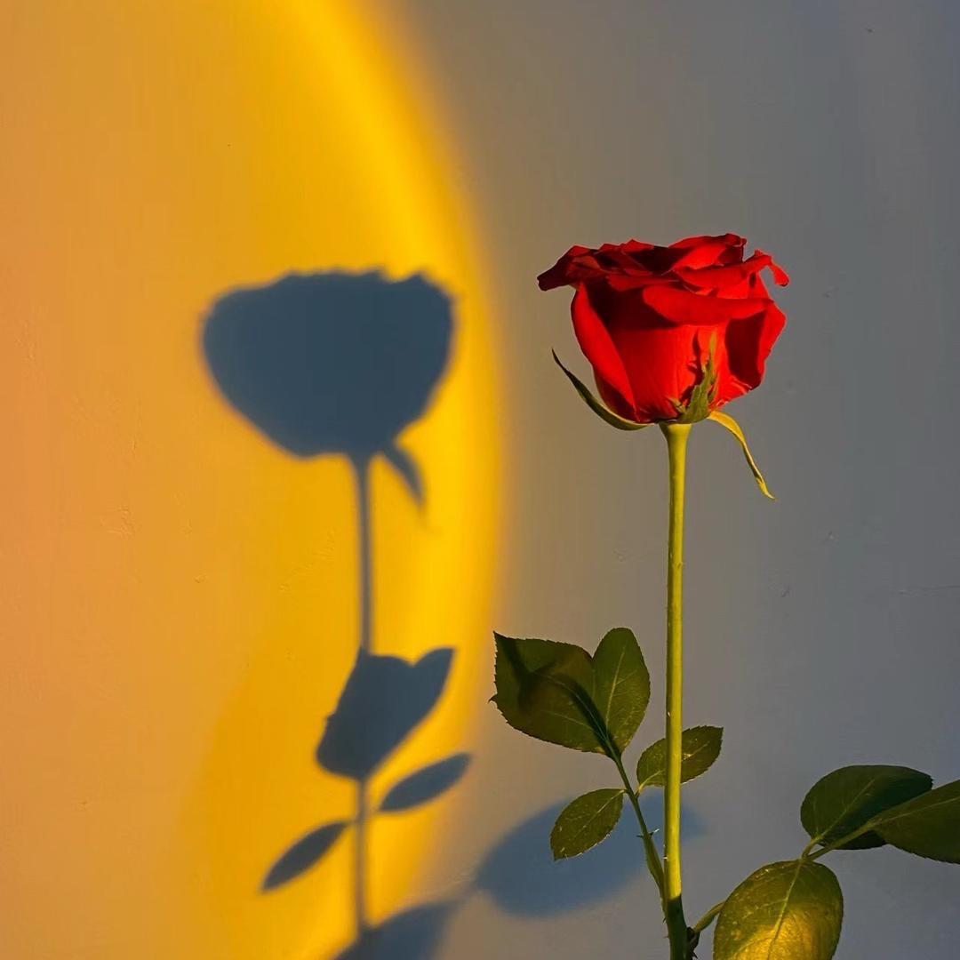 💐梦灵花坊