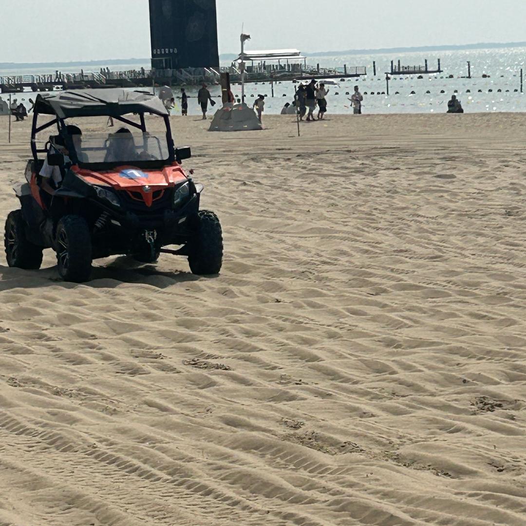 59440726546