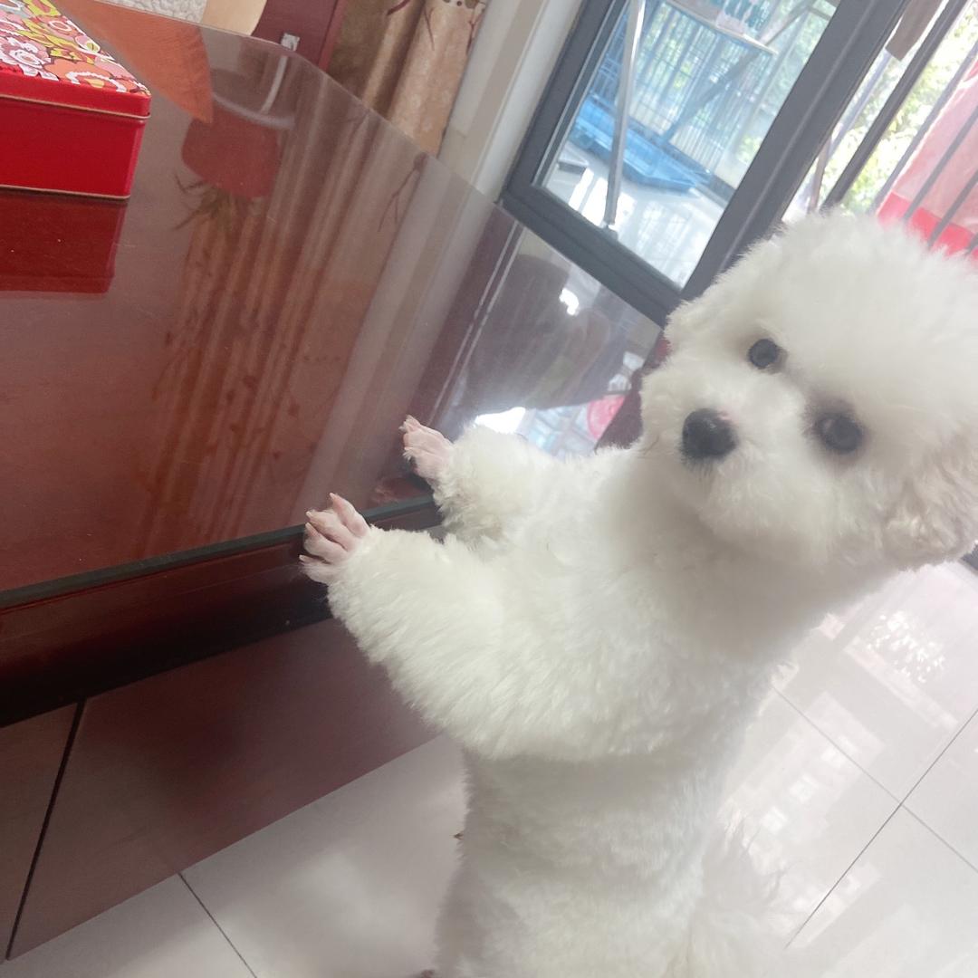 心花怒放的大丫头