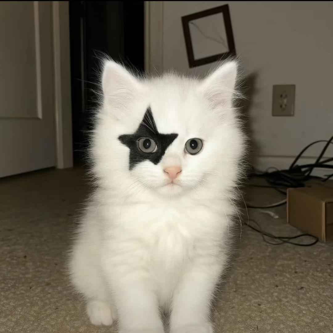 玺