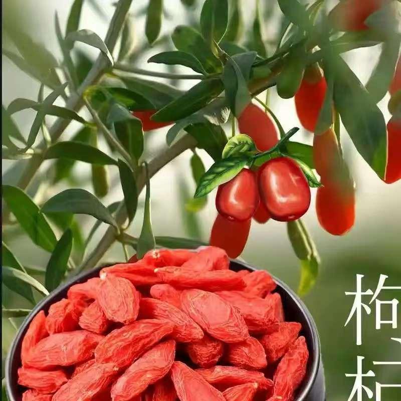 厚德载物