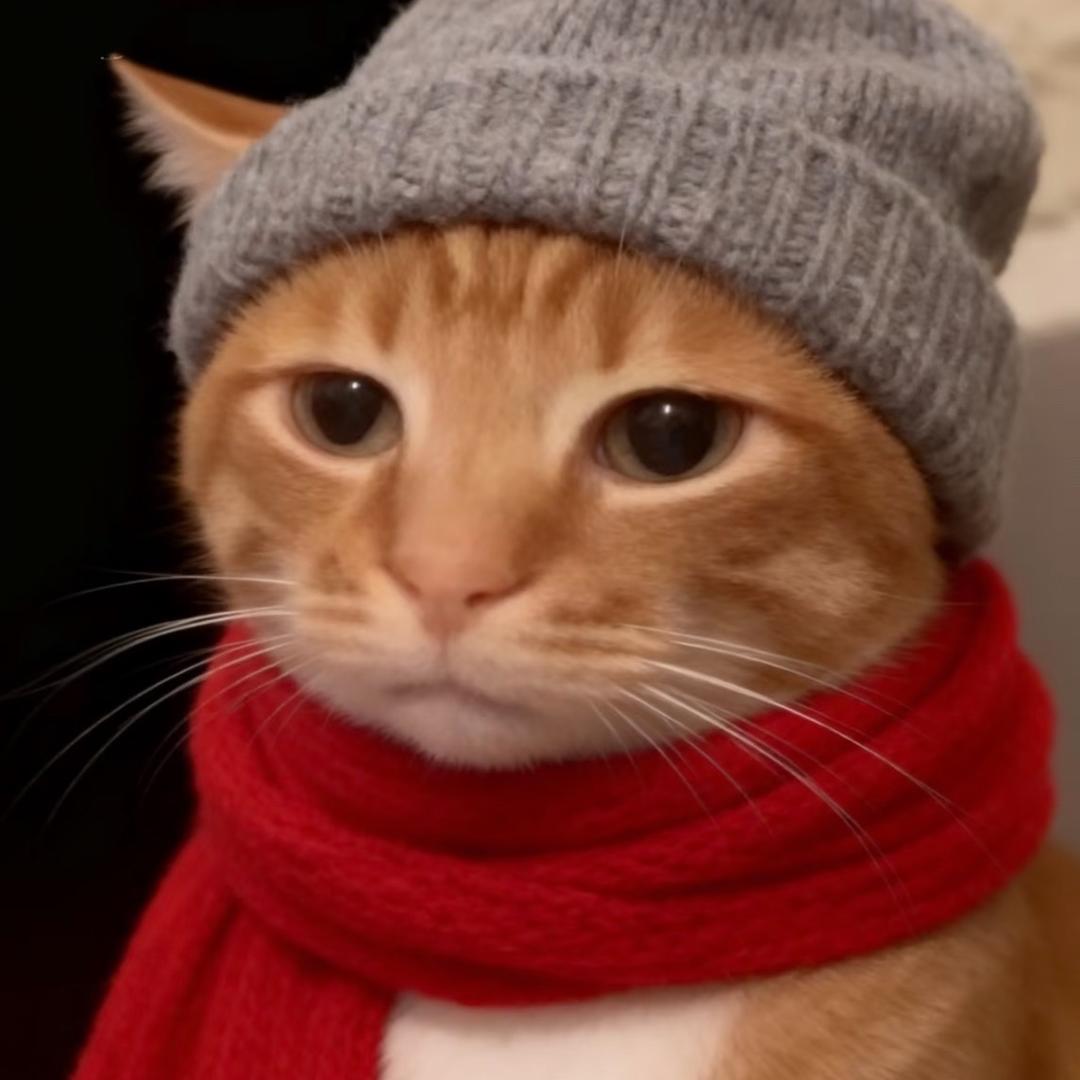 我才不要吃玉米