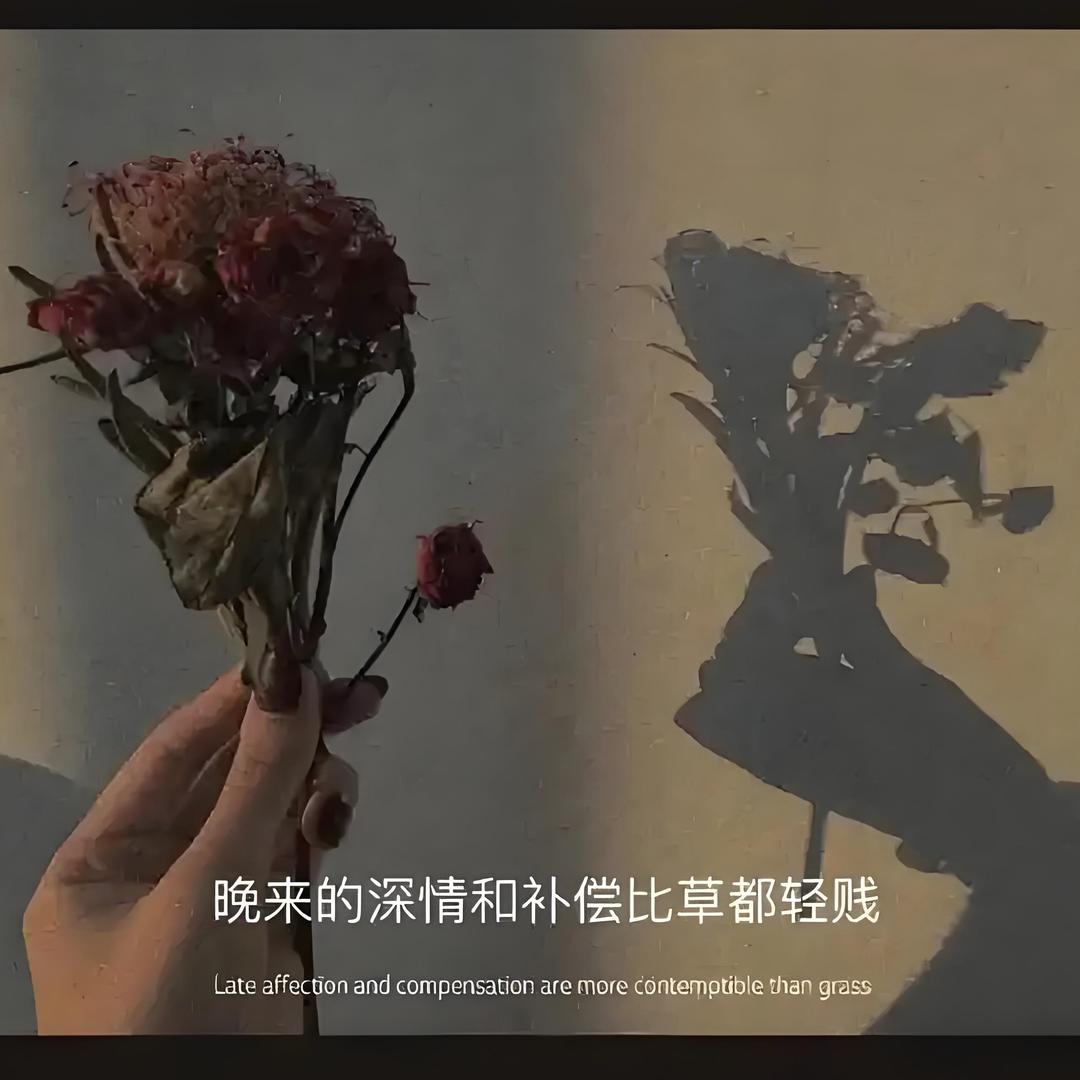 এ᭄ℳ๓归零°ꦿº᭄。