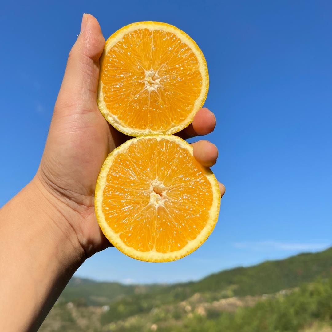 解乡愁生鲜