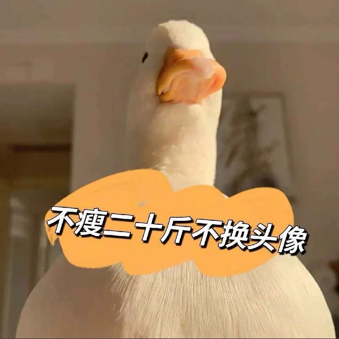 Muyiyang（割肉掉秤进行时）