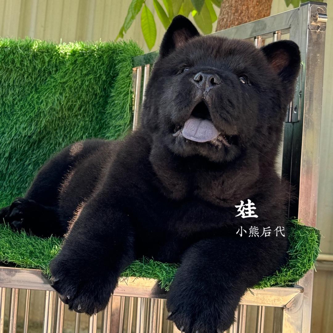 娃.
