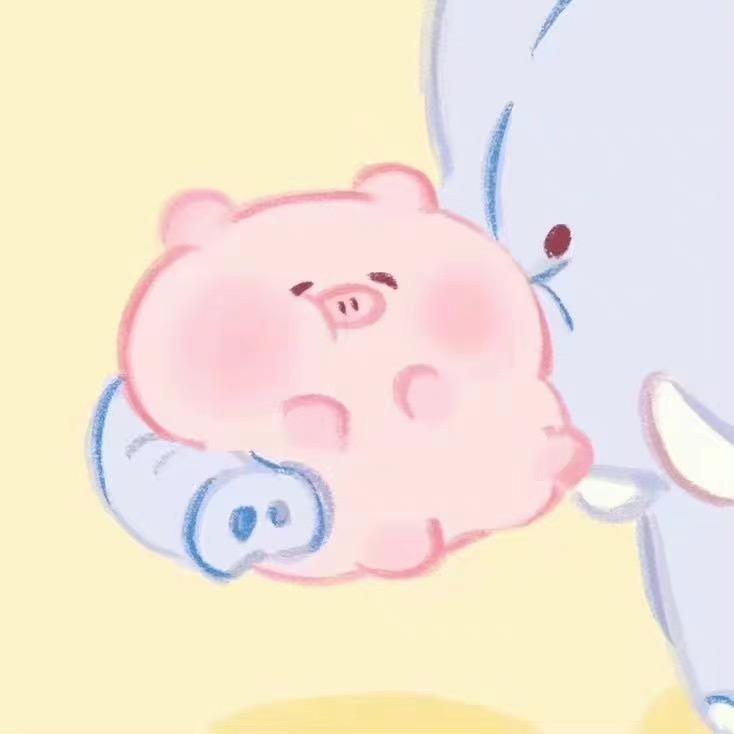 小猪33