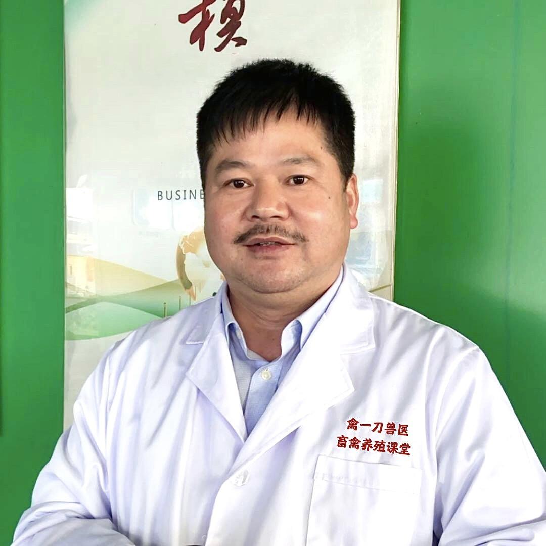 禽一刀养猪课堂@抖音