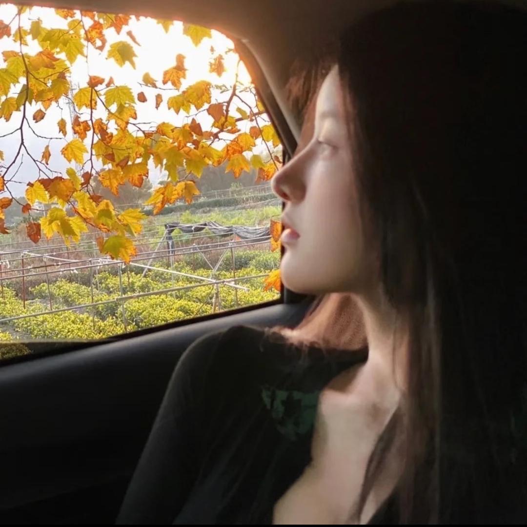 🍁