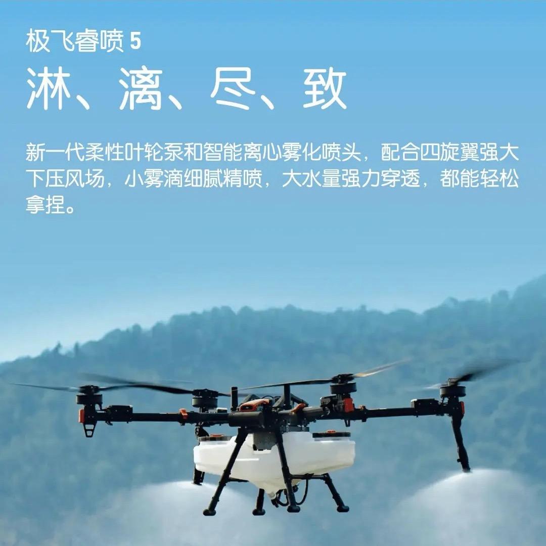 甘H的刘